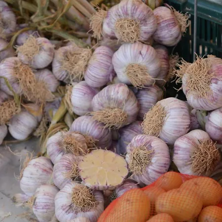 2 Pieces, Climatise, 100m Plage, Parking, - Fr-1-251-218 * Le Lavandou