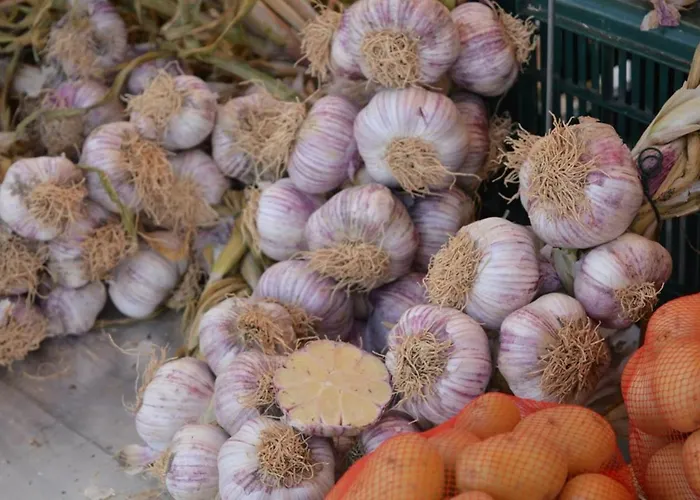 Le Lavandou, 2 Pièces, 4 Personnes - Fr-1-251-218 * Le Lavandou