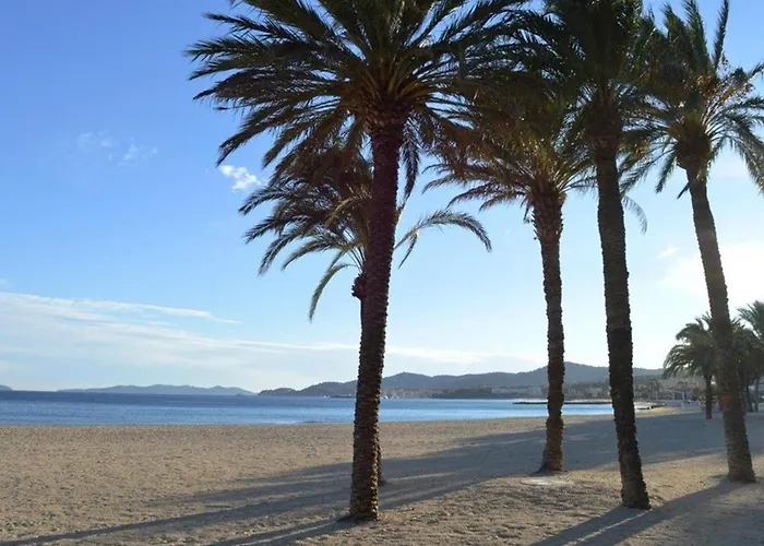 2 Pieces, Climatise, 100m Plage, Parking, - Fr-1-251-218 Apartman Le Lavandou